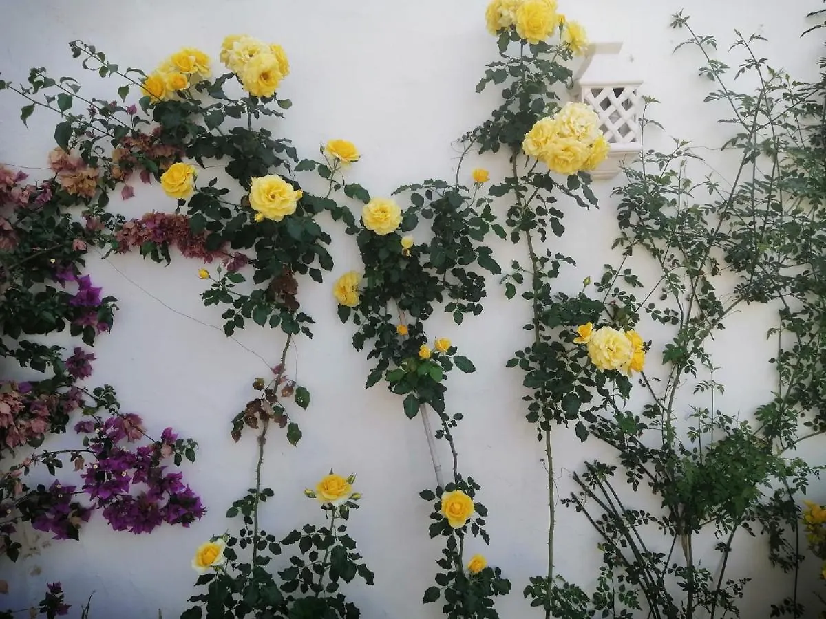 Apartment Estepona - Playa - Estudio Al Lado Del Mar Jo18 Spain